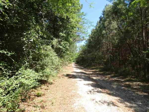 $462,000 | 1310 Piney Woods Road, Monticello, FL 32344