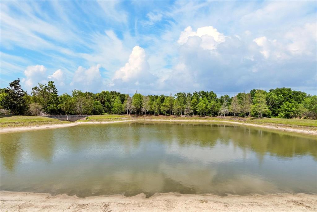 8850 Indigo Trail Loop Riverview, FL 33578 - Photo 3 of 72