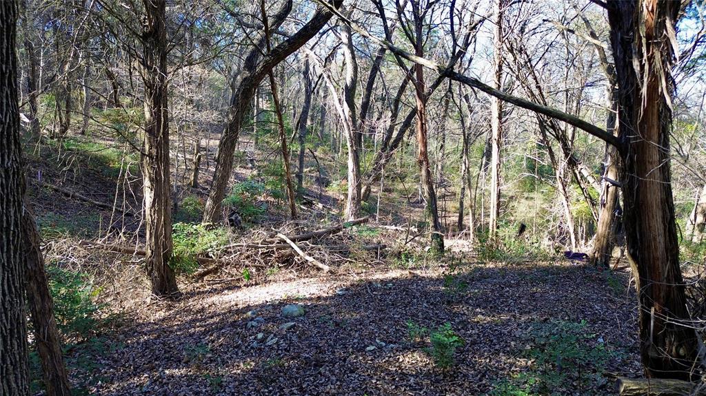 1917 Juniper Ridge Road Cedar Hill, TX 75104 - Photo 16 of 23 a view of outdoor space and tree