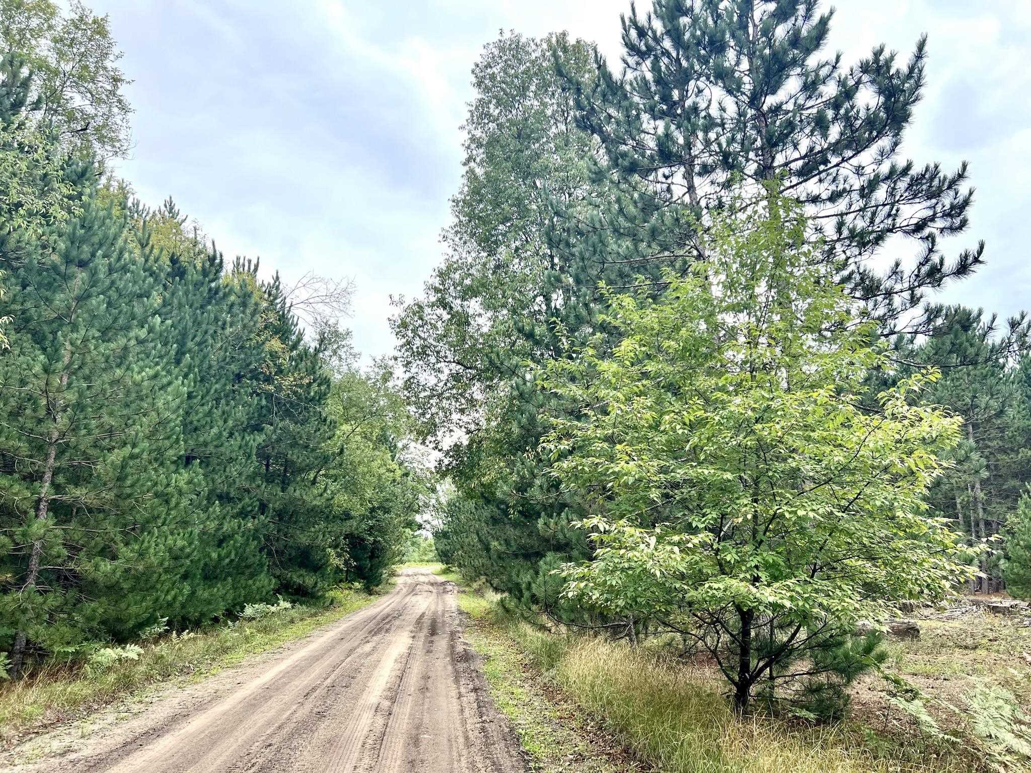 2 South Reynolds Road Interlochen, MI 49643 - Photo 13 of 20