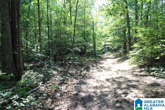 1 Benefield Gap Road Attalla, AL 35954 - Photo 33 of 50