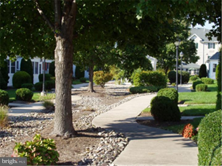 40 West Village Road Newark, DE 19713 - Photo 22 of 25 Garden