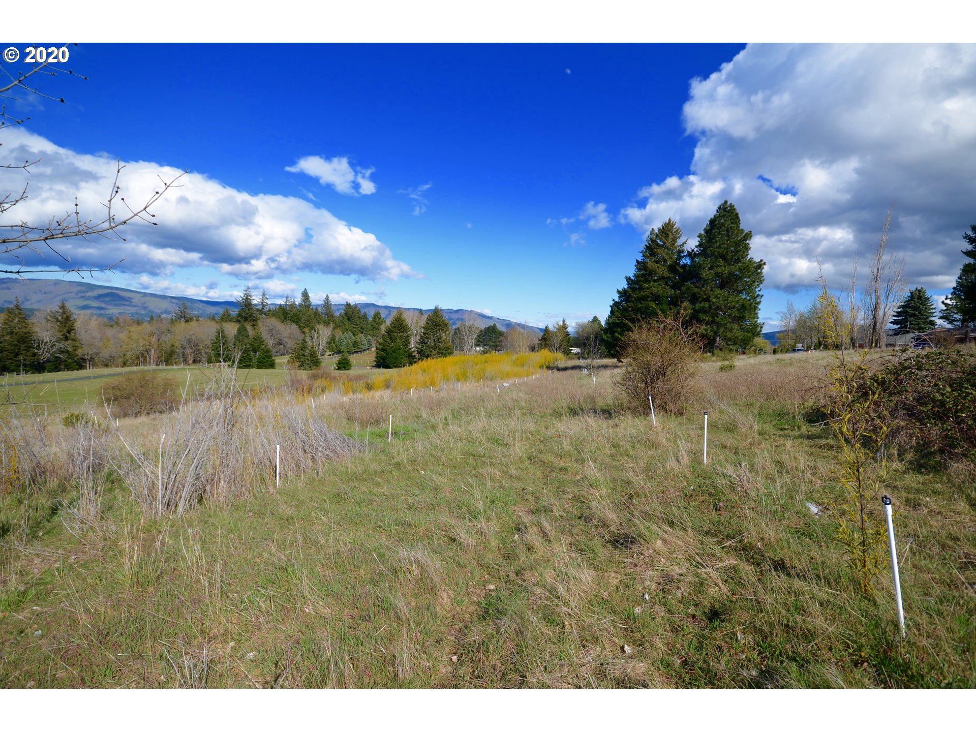 Country Club Road Hood River, OR 97031 - Photo 1 of 11 Gallery Image 1