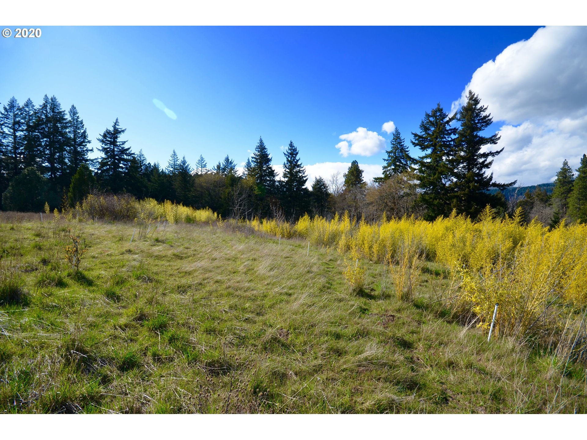 Country Club Road Hood River, OR 97031 - Photo 3 of 11 Gallery Image 3
