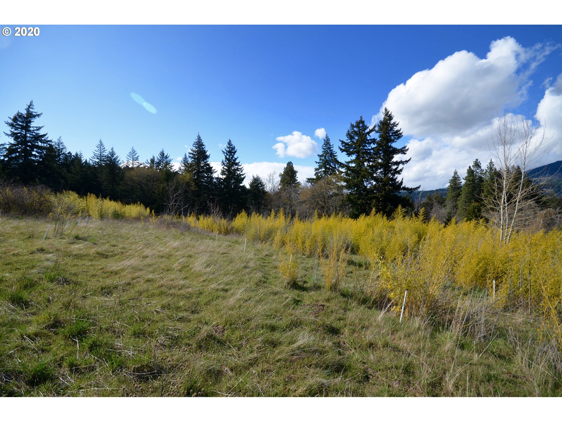 Country Club Road Hood River, OR 97031 - Photo 4 of 11 Gallery Image 4