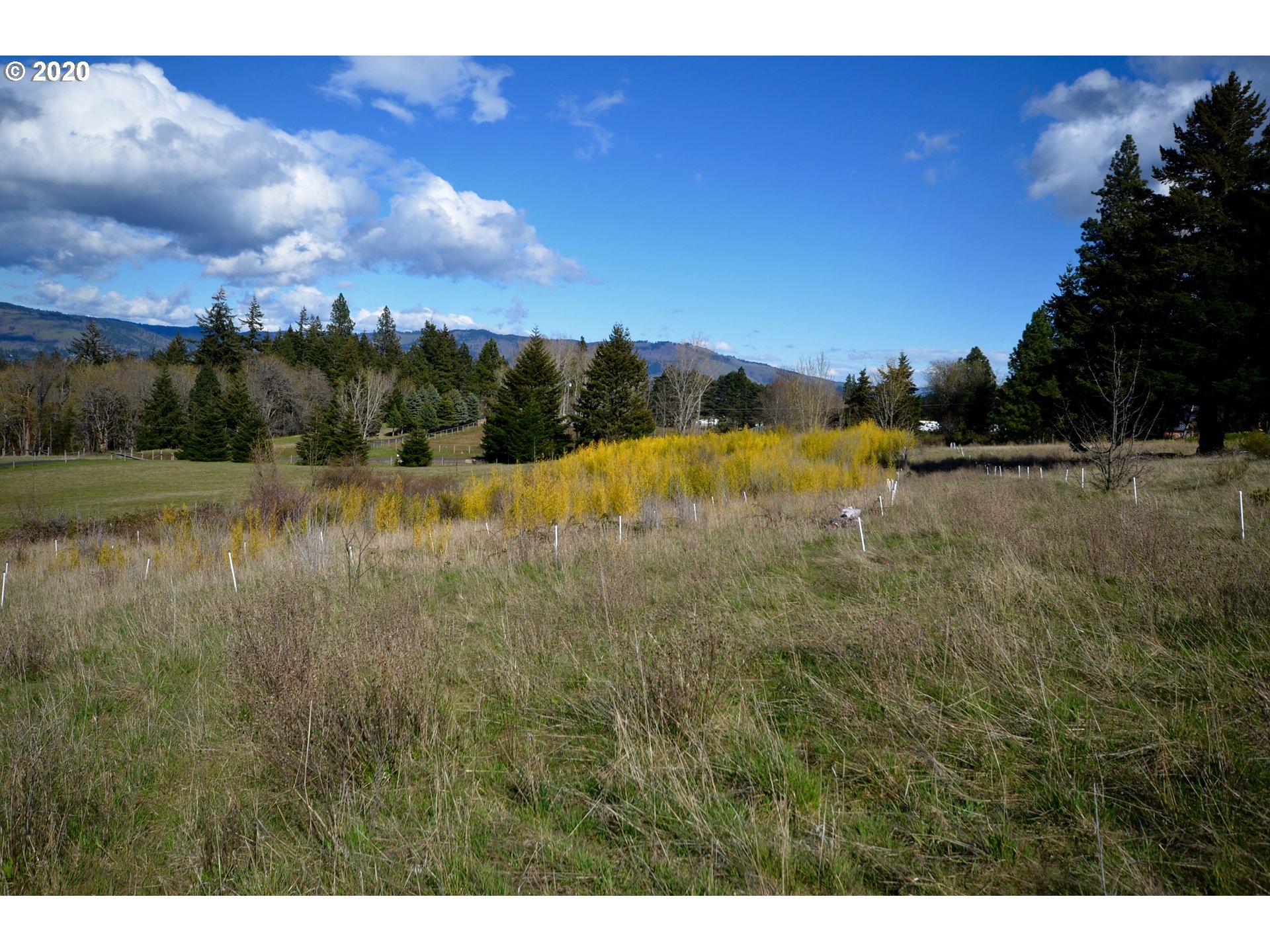 Country Club Road Hood River, OR 97031 - Photo 5 of 11 Gallery Image 5