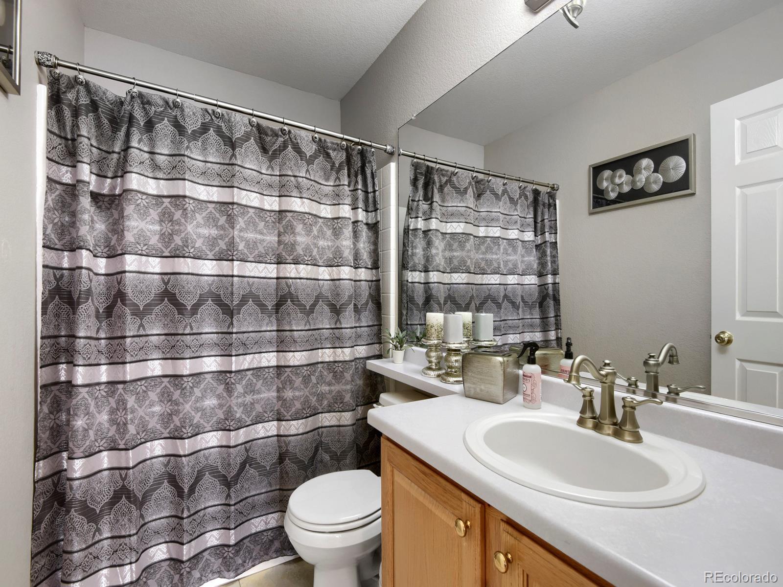 10235 Alexa Lane Highlands Ranch, CO 80130 - Photo 19 of 33