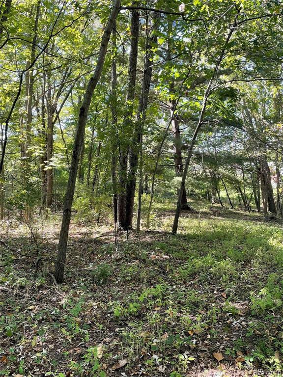 39 Walsh Road Whitmore Lake, MI 48189 - Photo 7 of 8 Gallery Image 7