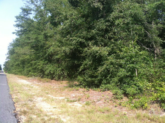 Parcel E Tabernacle Road Salley, SC 29137 - Photo 1 of 5