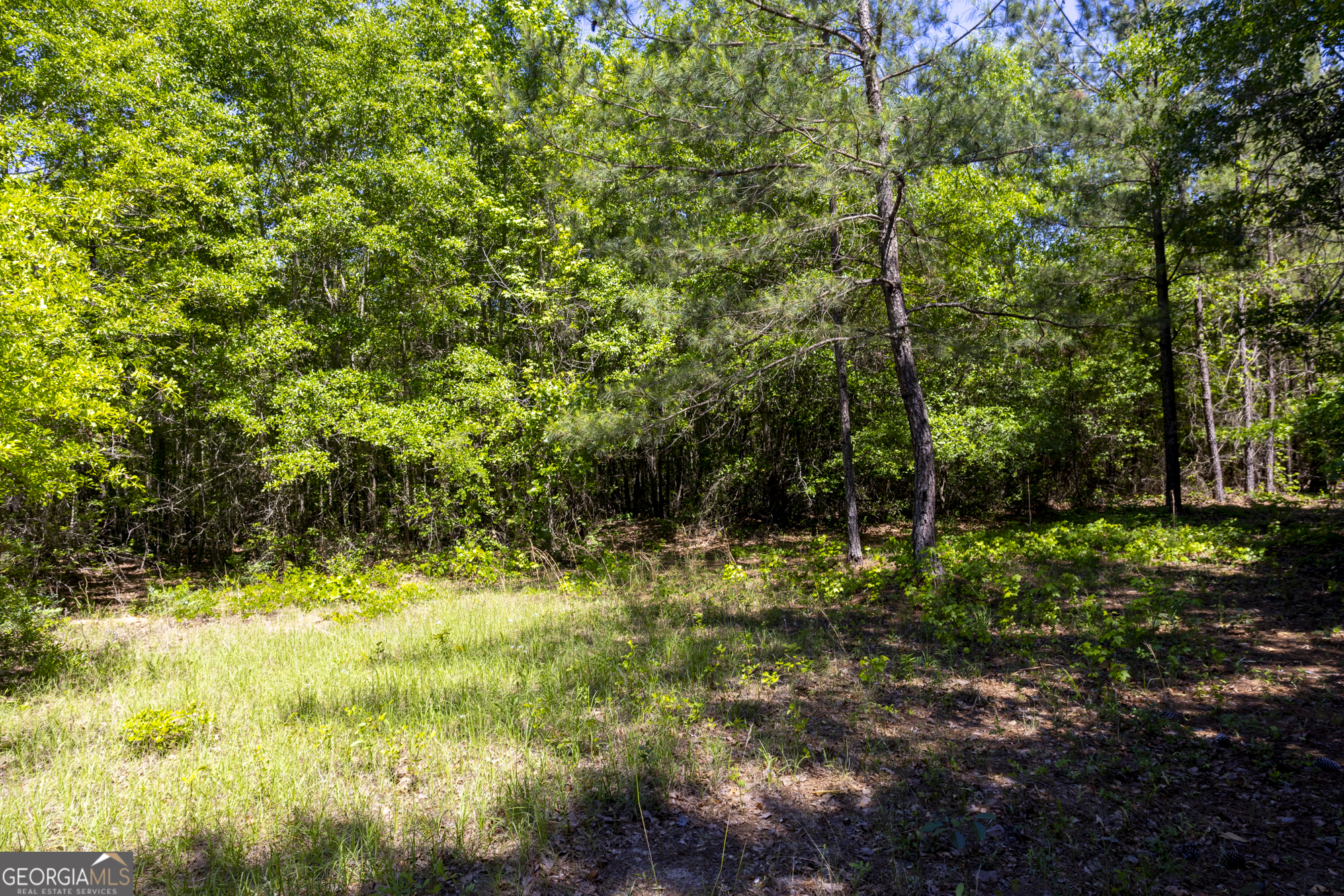 0 Old Griswoldville Road Macon, GA 31217 - Photo 36 of 62