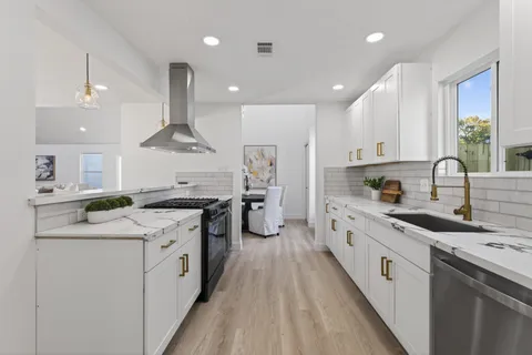 a kitchen with a sink and a potted plant