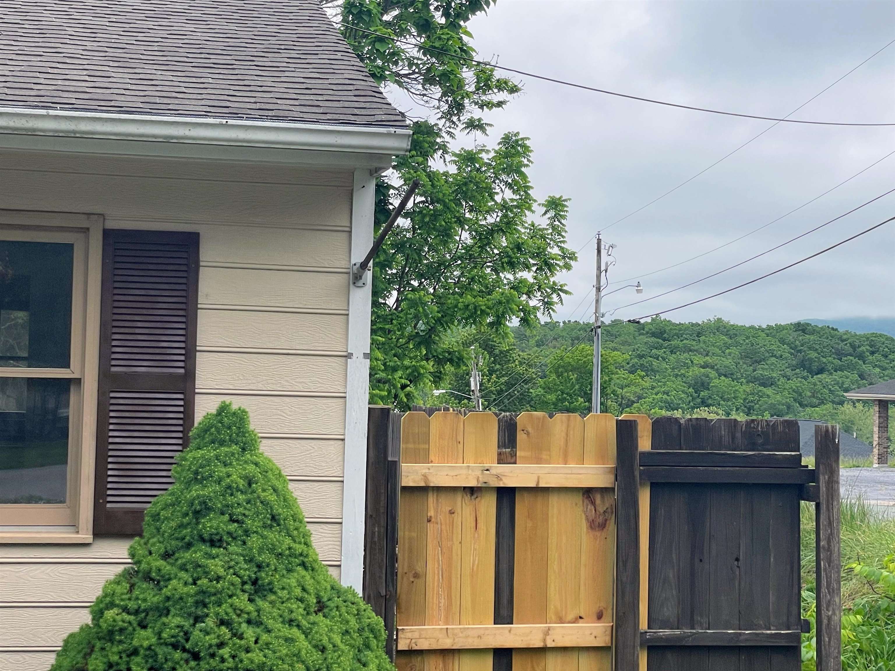 1201 4th Street Waynesboro, VA 22980 - Photo 31 of 32 Mountain View-More in Rear!