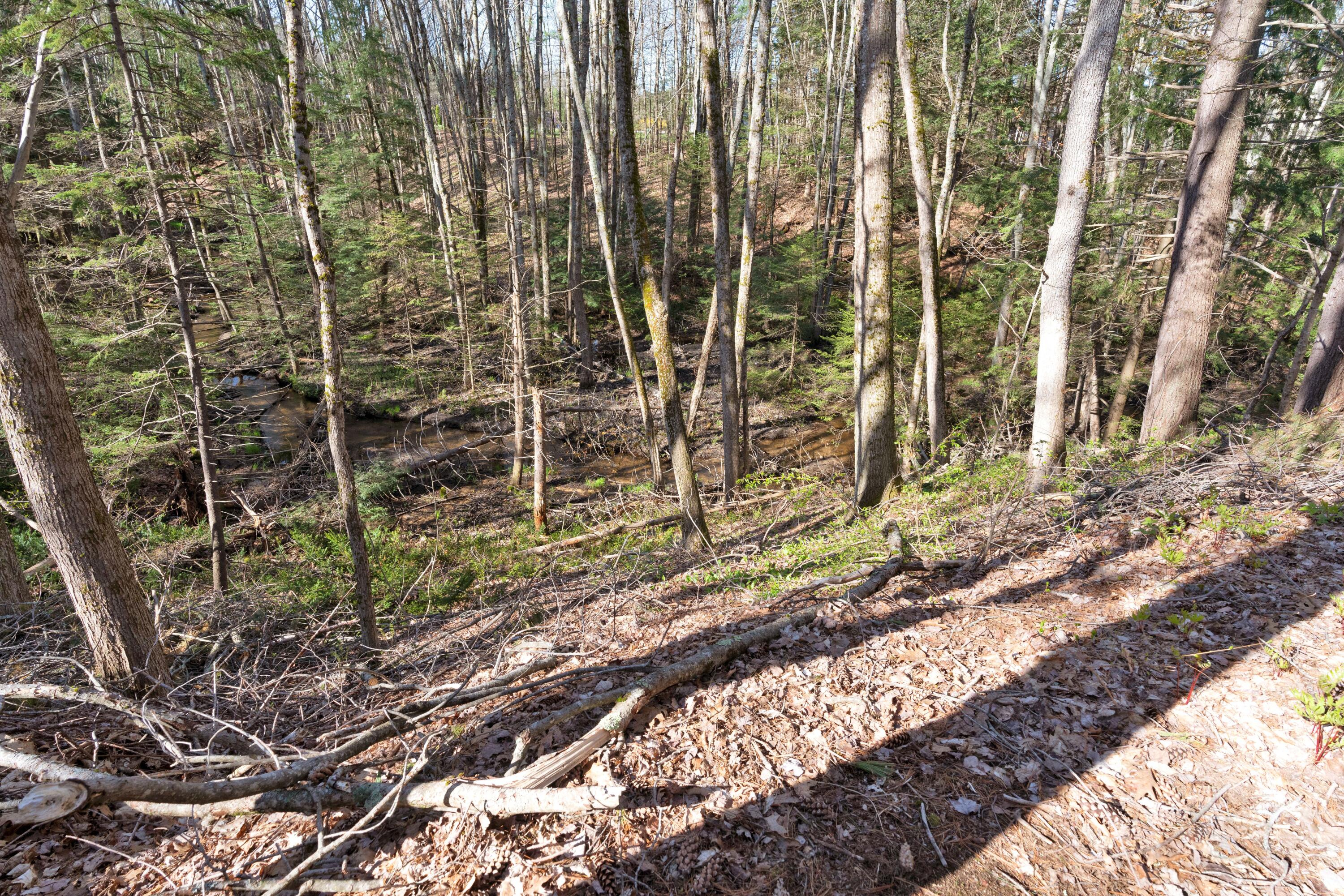 14 Banks Brook Road Old Orchard Beach, ME 04064 - Photo 36 of 41 _DSC1627