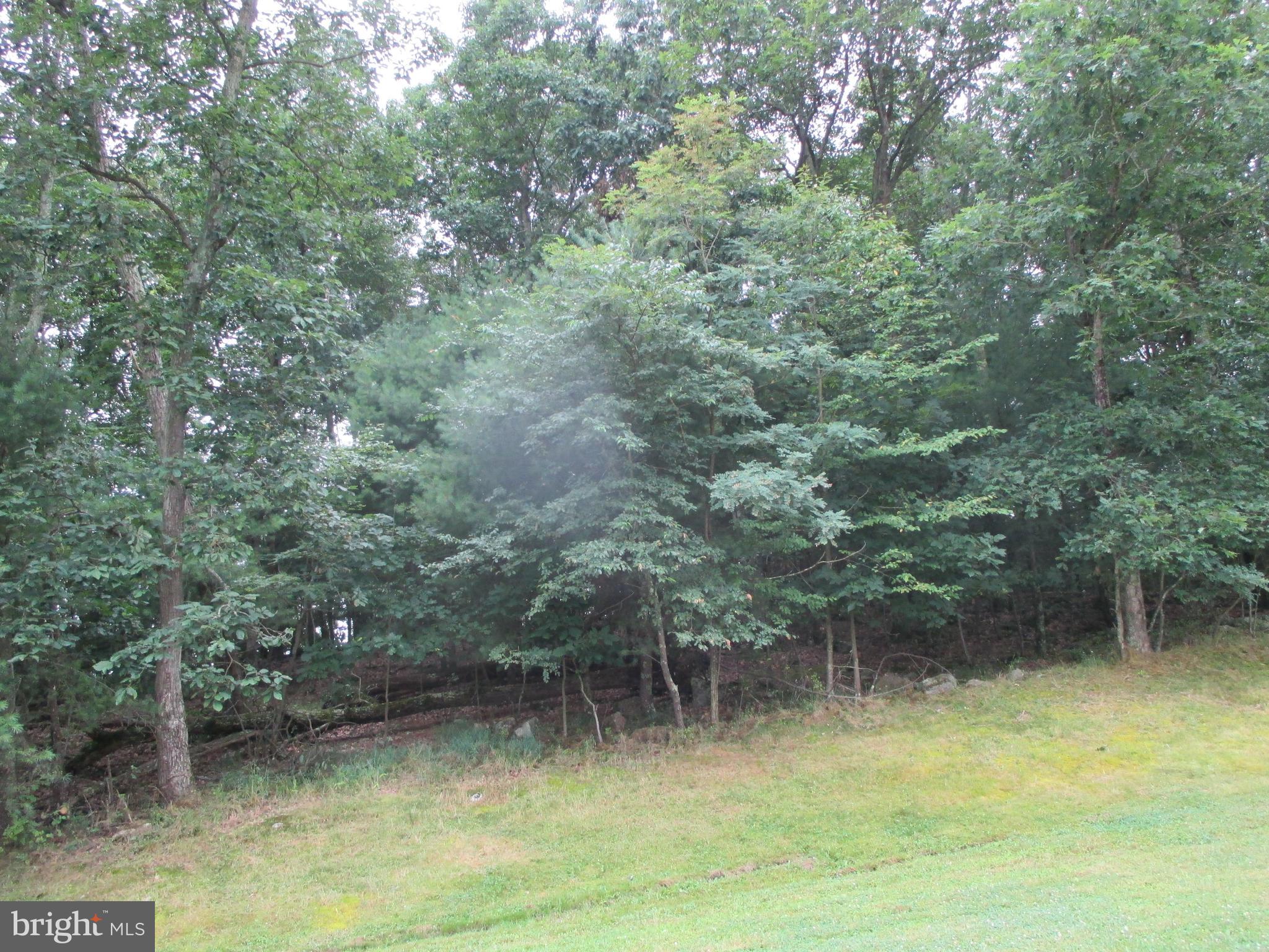 235 Notch Road Duncannon, PA 17020 - Photo 9 of 34 Gallery Image 9