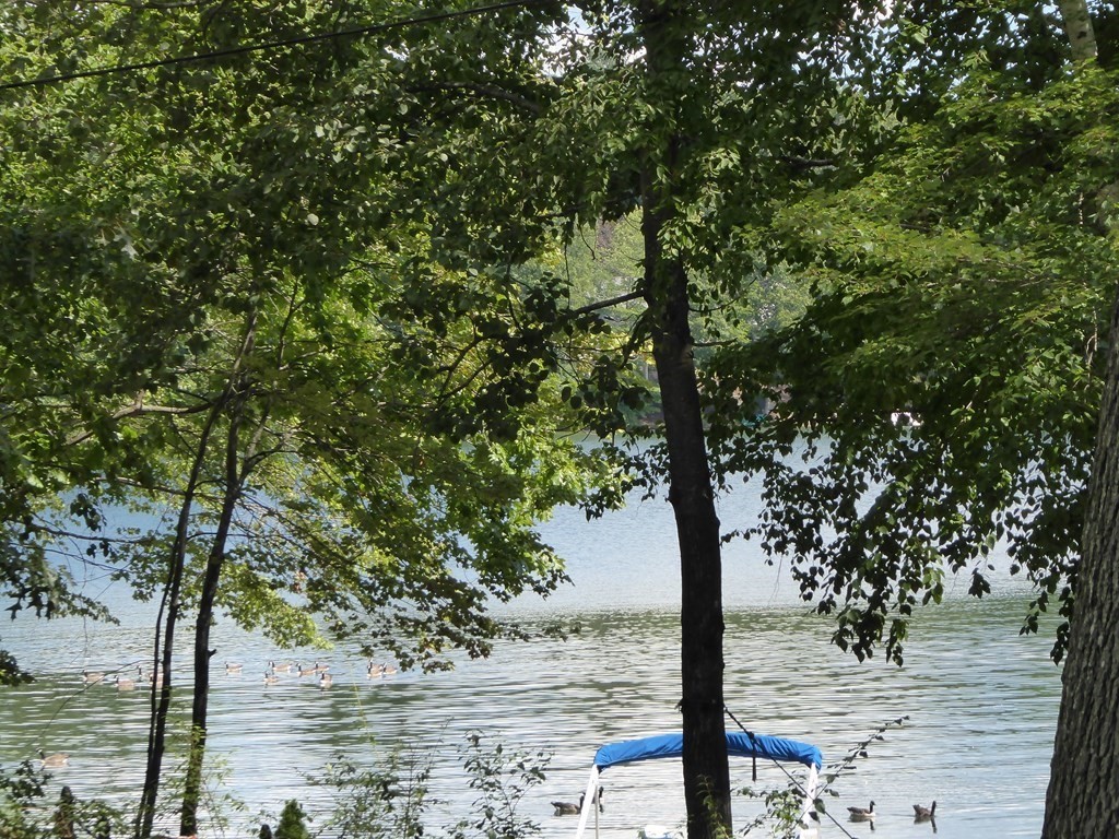 86 Pequot Point Road Westfield, MA 01085 - Photo 19 of 21 a view of lake