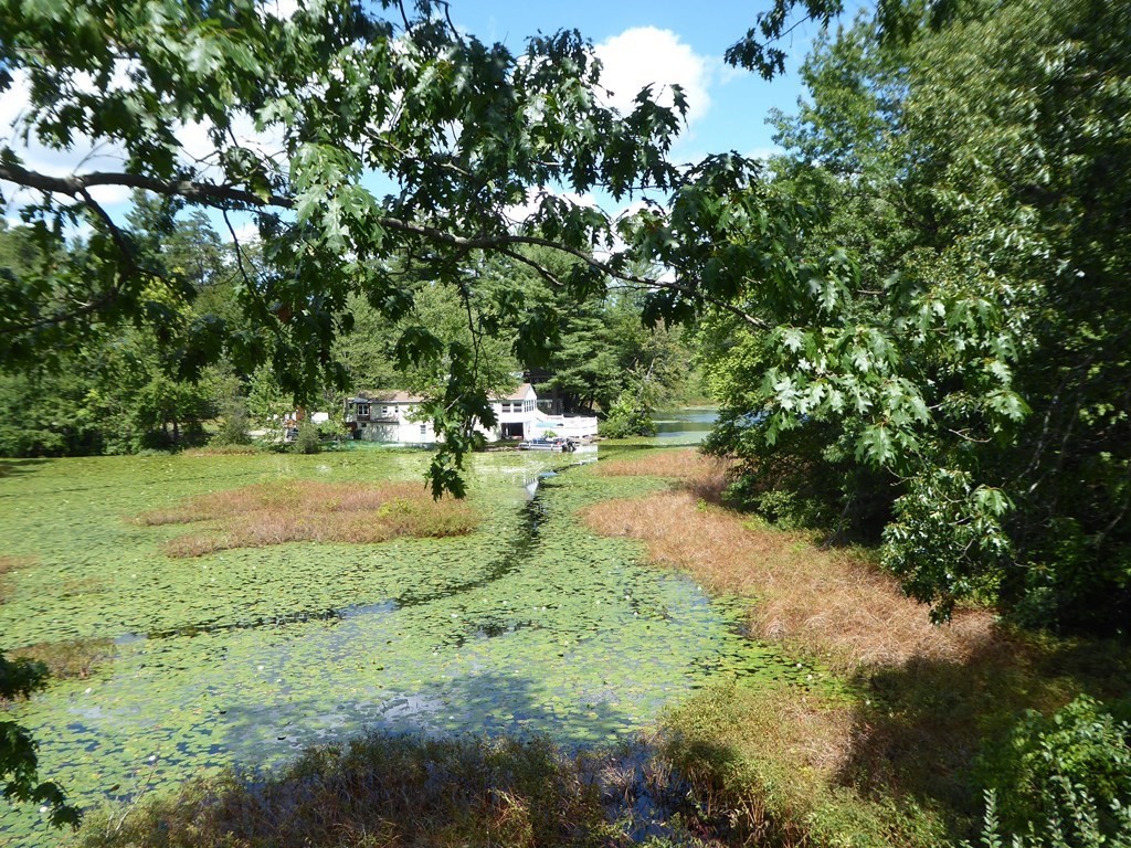 86 Pequot Point Road Westfield, MA 01085 - Photo 2 of 21 a view of yard with green space