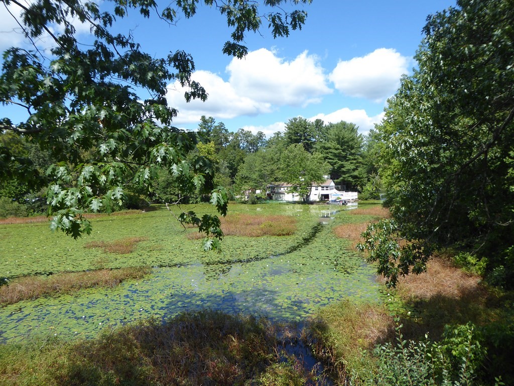 86 Pequot Point Road Westfield, MA 01085 - Photo 21 of 21 a view of a lake with a yard