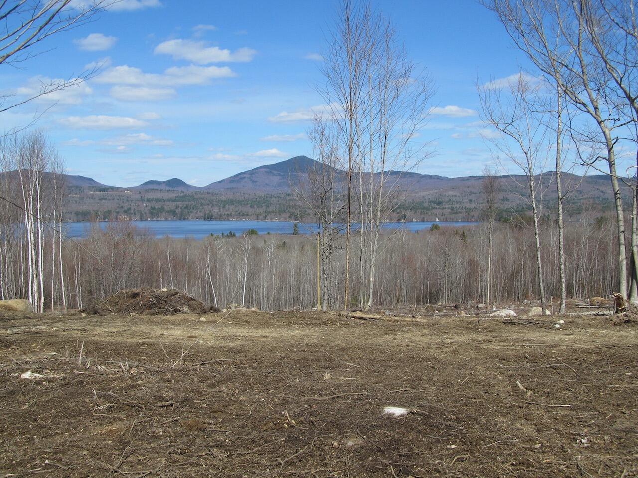 Lot 2 Lake View Road Weld, ME 04285 - Photo 6 of 28 IMG_1049
