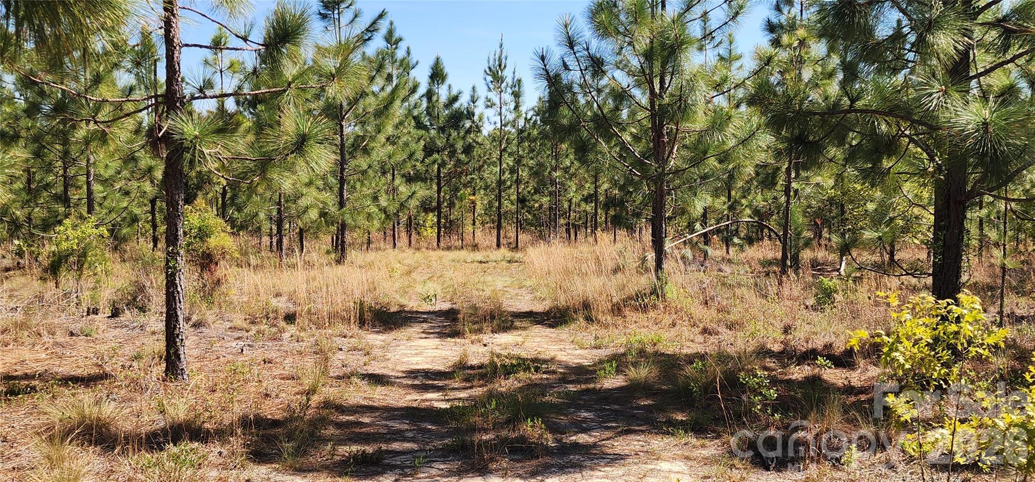 1045 McQueen Road Patrick, SC 29584 - Photo 10 of 32