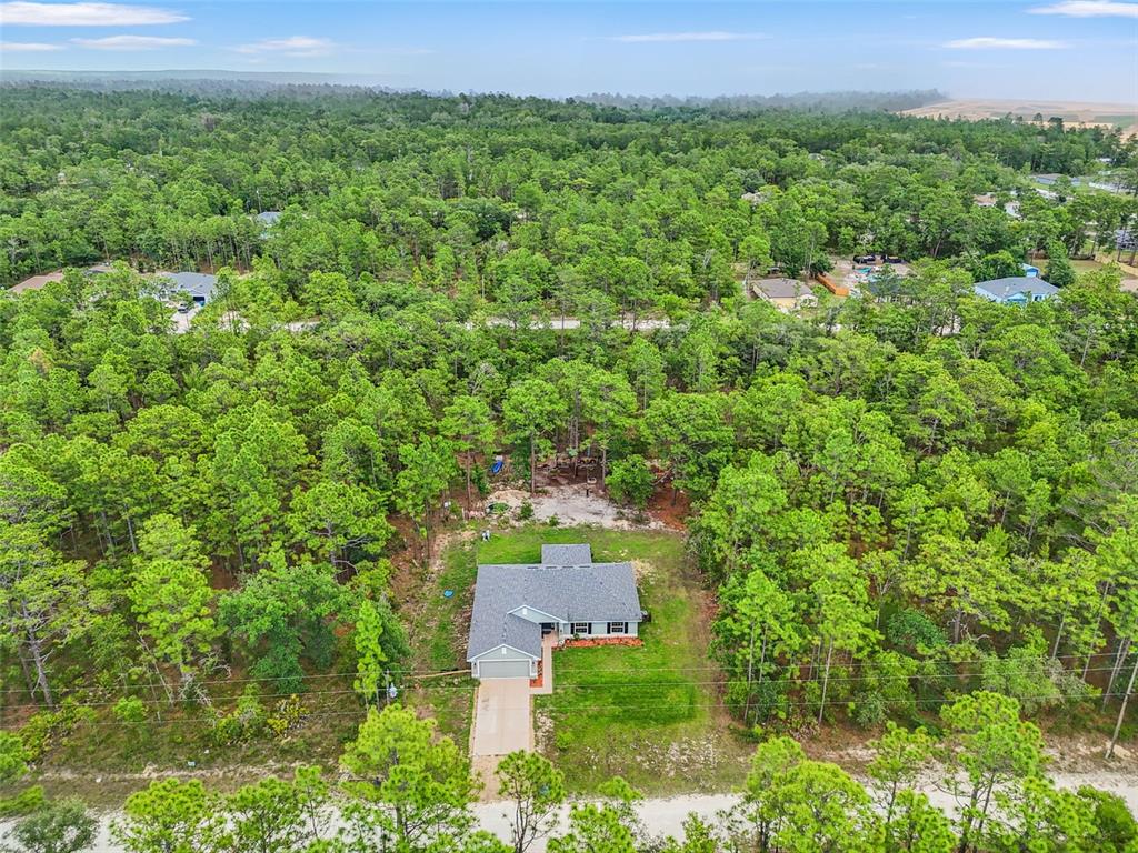 18336 Macek Road Weeki Wachee, FL 34614 - Photo 45 of 49