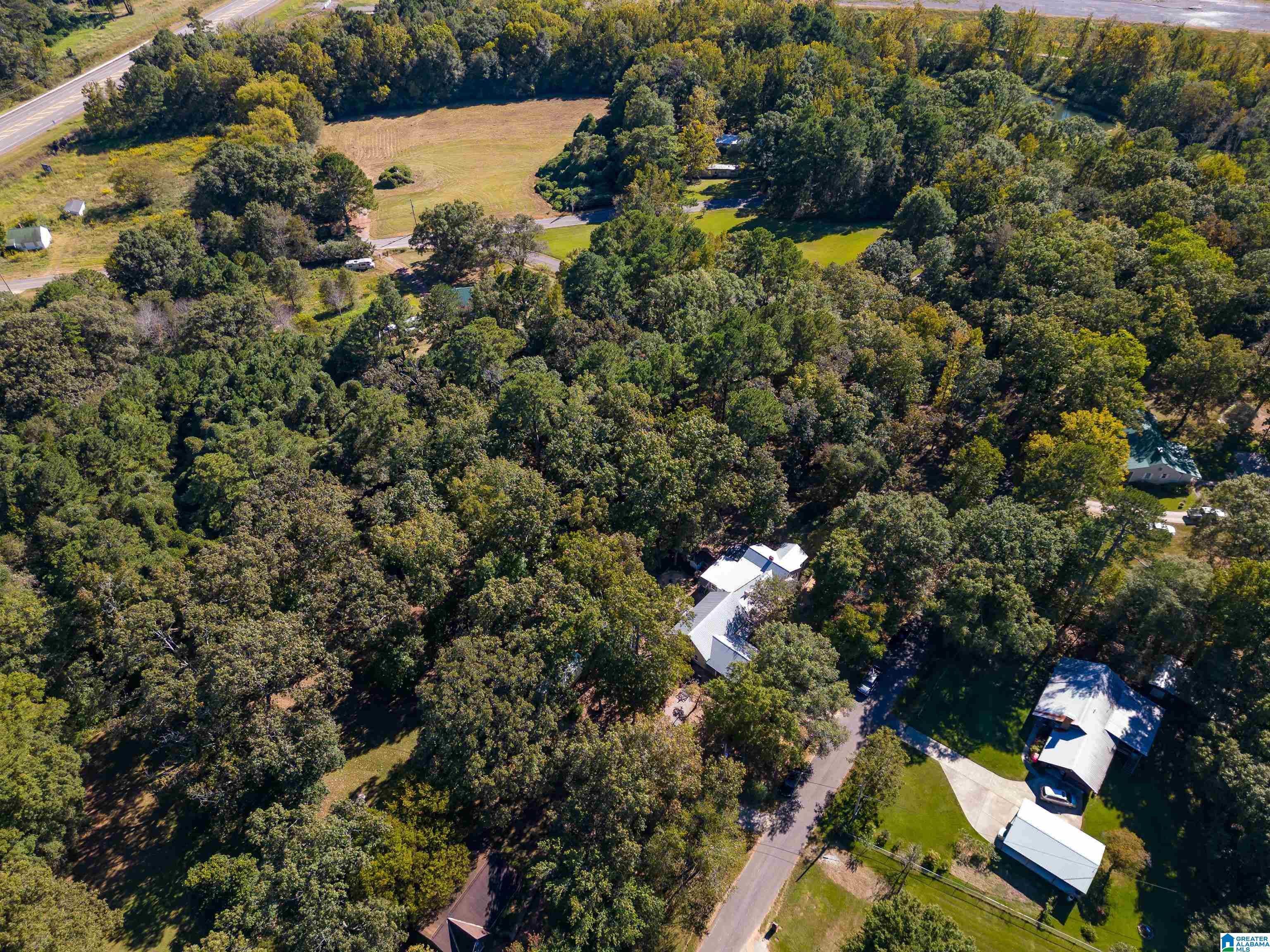 8073 West Hill Road Pinson, AL 35126 - Photo 48 of 50