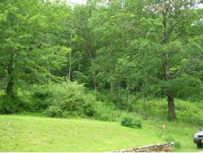 310 Old Watauga Road Elizabethton, TN 37643 - Photo 2 of 3 Photo 2