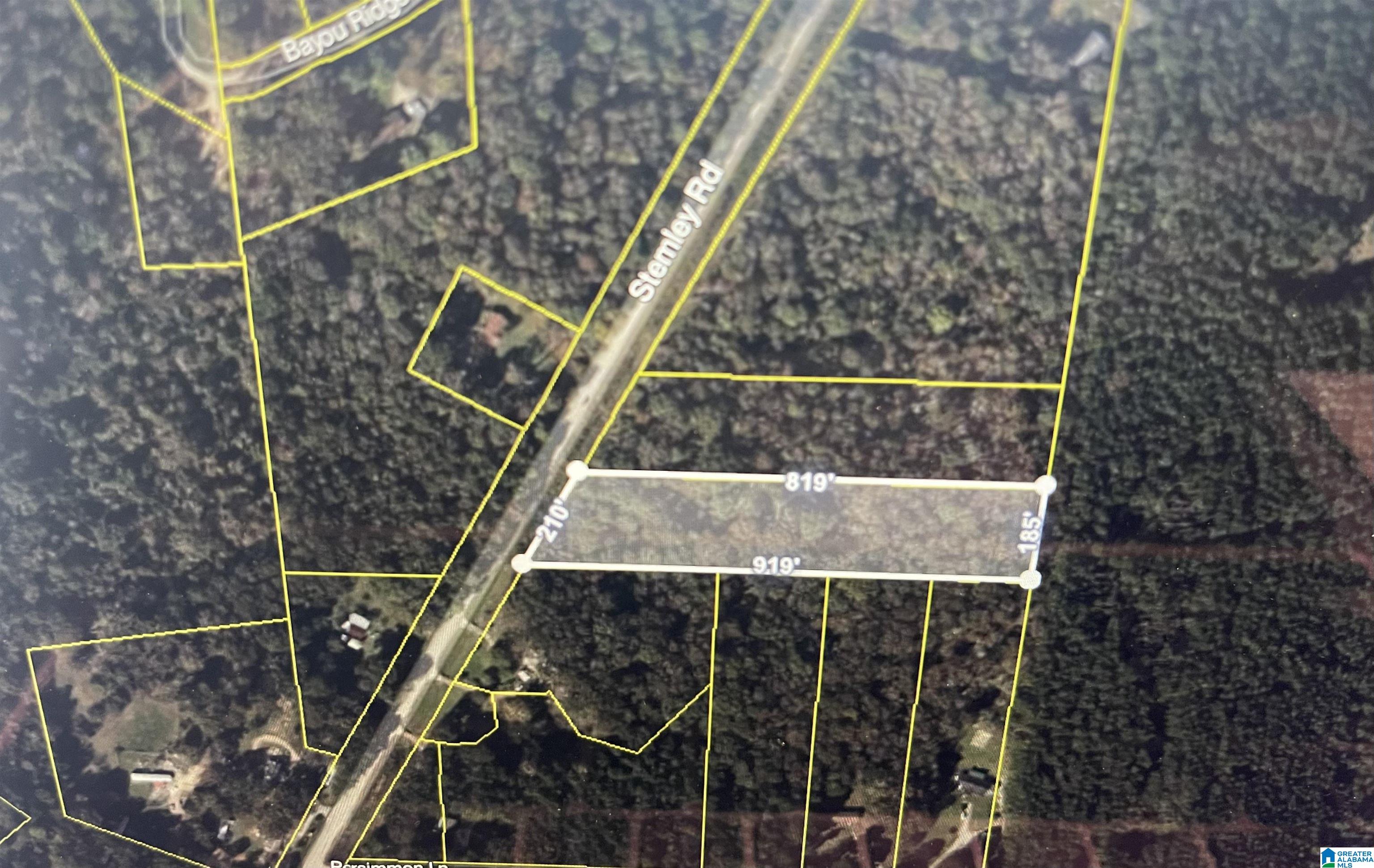 0 Stemley Road Talladega, AL 35160 - Photo 2 of 5