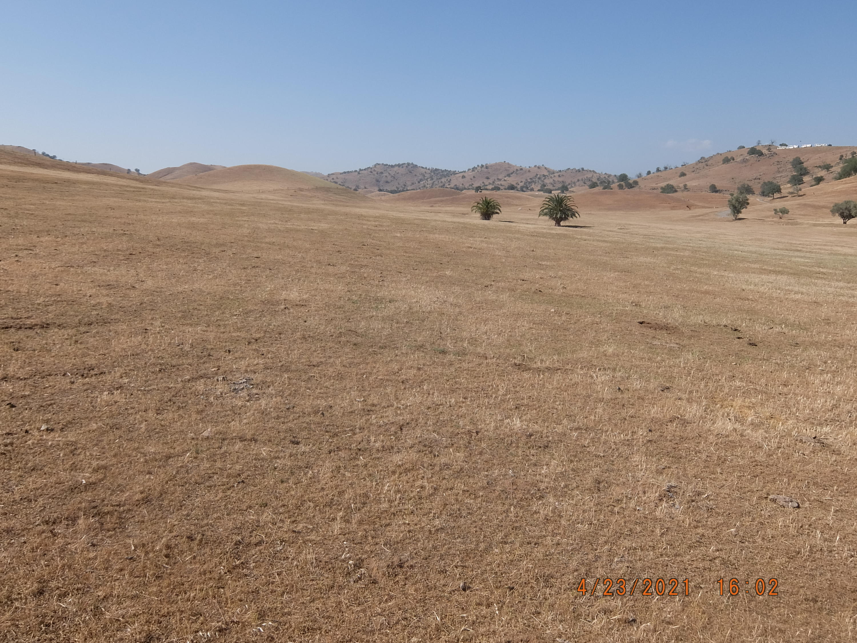 Angus Loop Extension Springville, CA 93265 - Photo 20 of 26 GENTLE GRADE