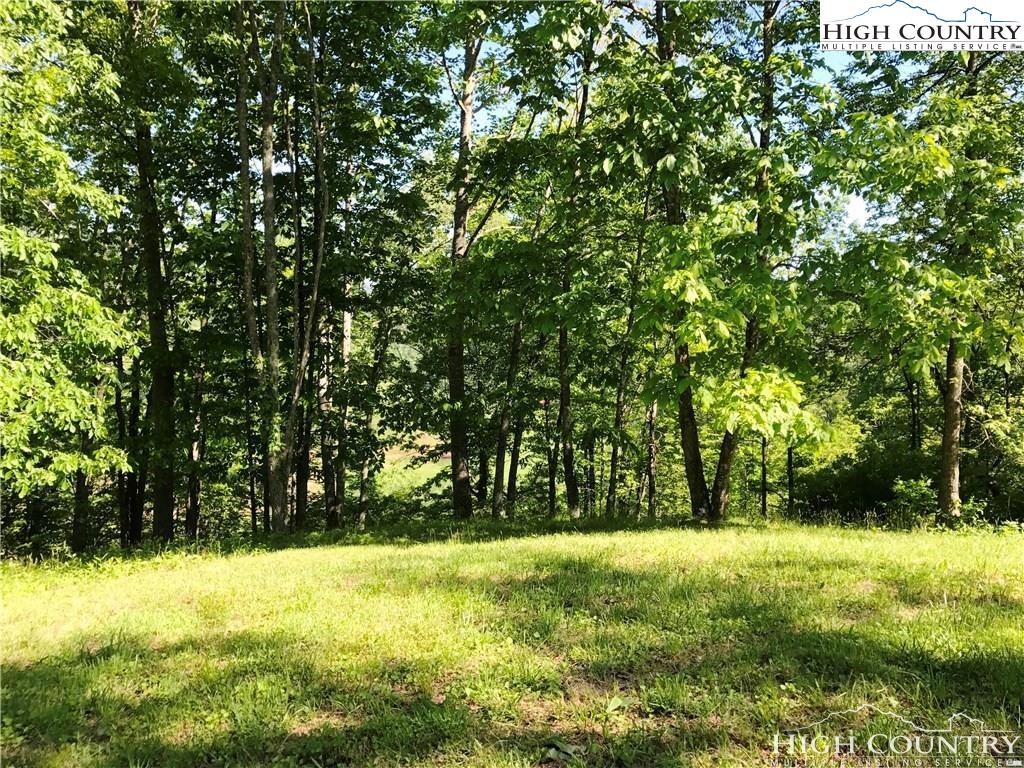 Twin Hollows Road Vilas, NC 28692 - Photo 1 of 6 Gallery Image 1