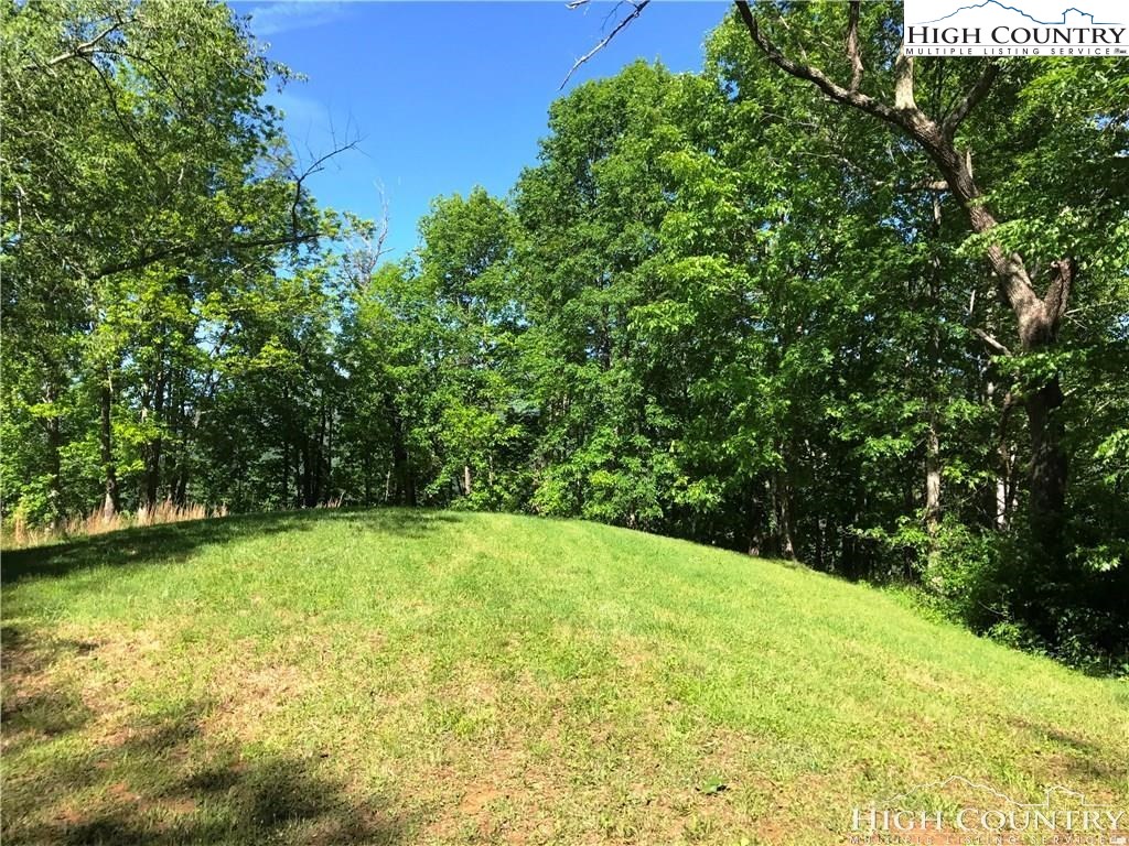 Twin Hollows Road Vilas, NC 28692 - Photo 2 of 6 Gallery Image 2