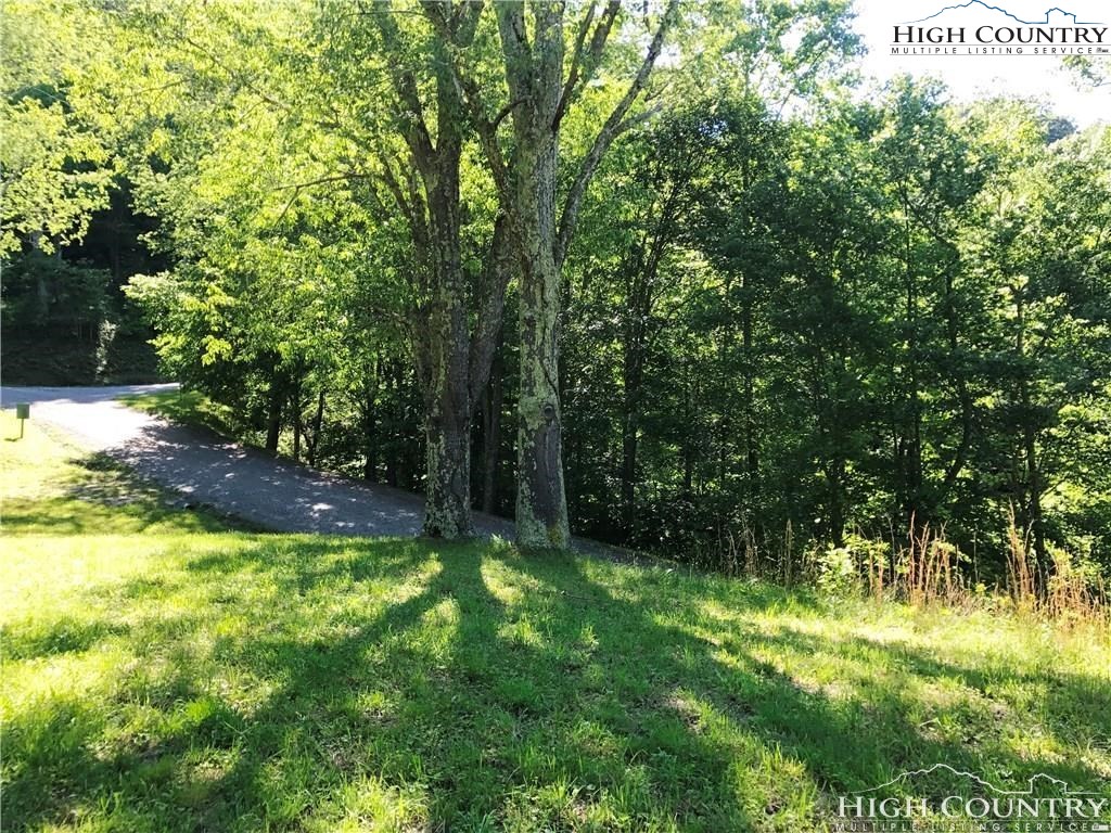 Twin Hollows Road Vilas, NC 28692 - Photo 3 of 6 Gallery Image 3