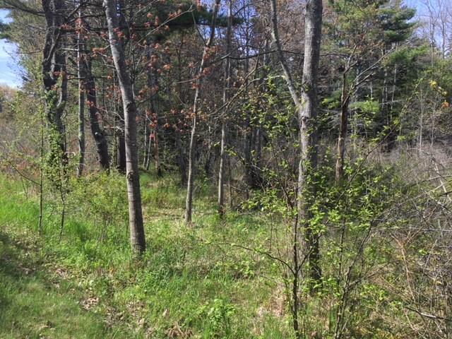 855 Parker Head Road Phippsburg, ME 04562 - Photo 12 of 12 Photo
