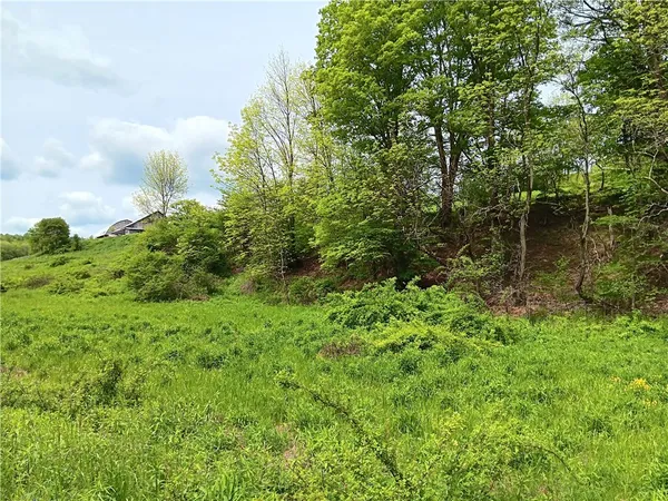 $110,000 | Kiff Brook Road, Bloomville, NY 13739