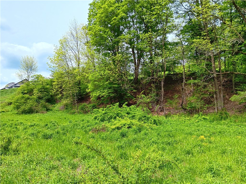 Kiff Brook Road Bloomville, NY 13739 - Photo 2 of 6