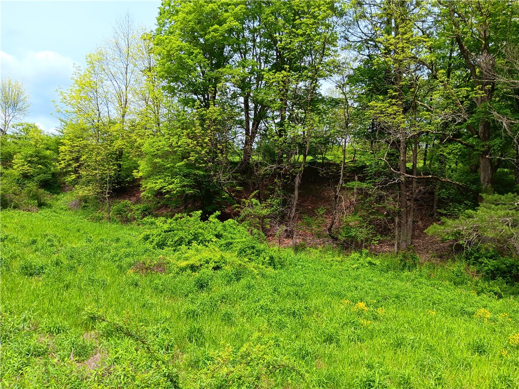 Kiff Brook Road Bloomville, NY 13739 - Photo 3 of 6