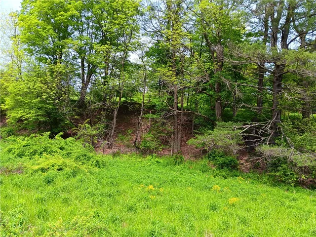 $110,000 | Kiff Brook Road, Bloomville, NY 13739