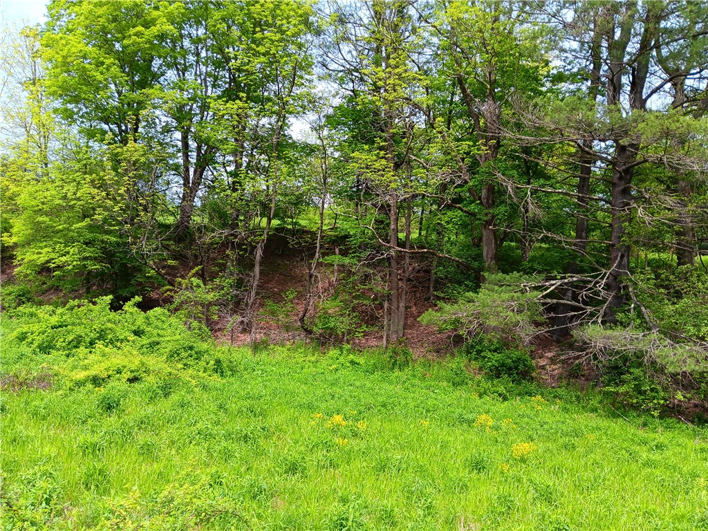 Kiff Brook Road Bloomville, NY 13739 - Photo 4 of 6