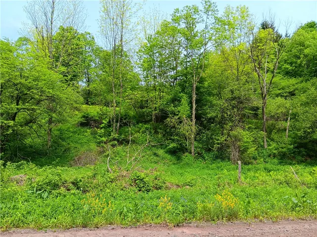 $110,000 | Kiff Brook Road, Bloomville, NY 13739