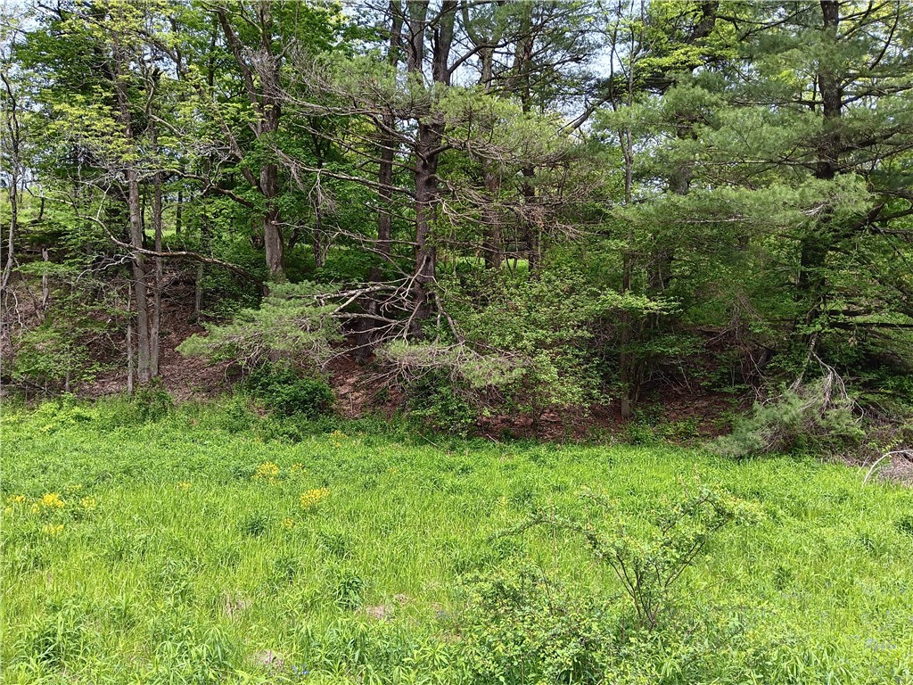 Kiff Brook Road Bloomville, NY 13739 - Photo 6 of 6