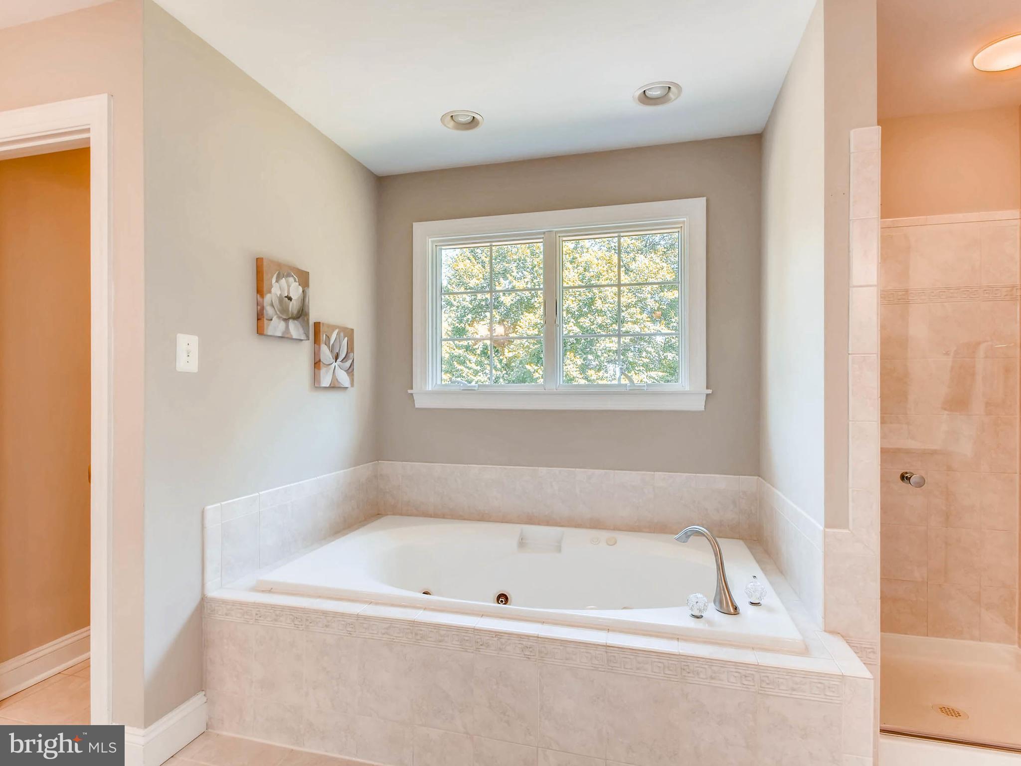 2028 Reese Road Westminster, MD 21157 - Photo 21 of 30 Bath (Master)