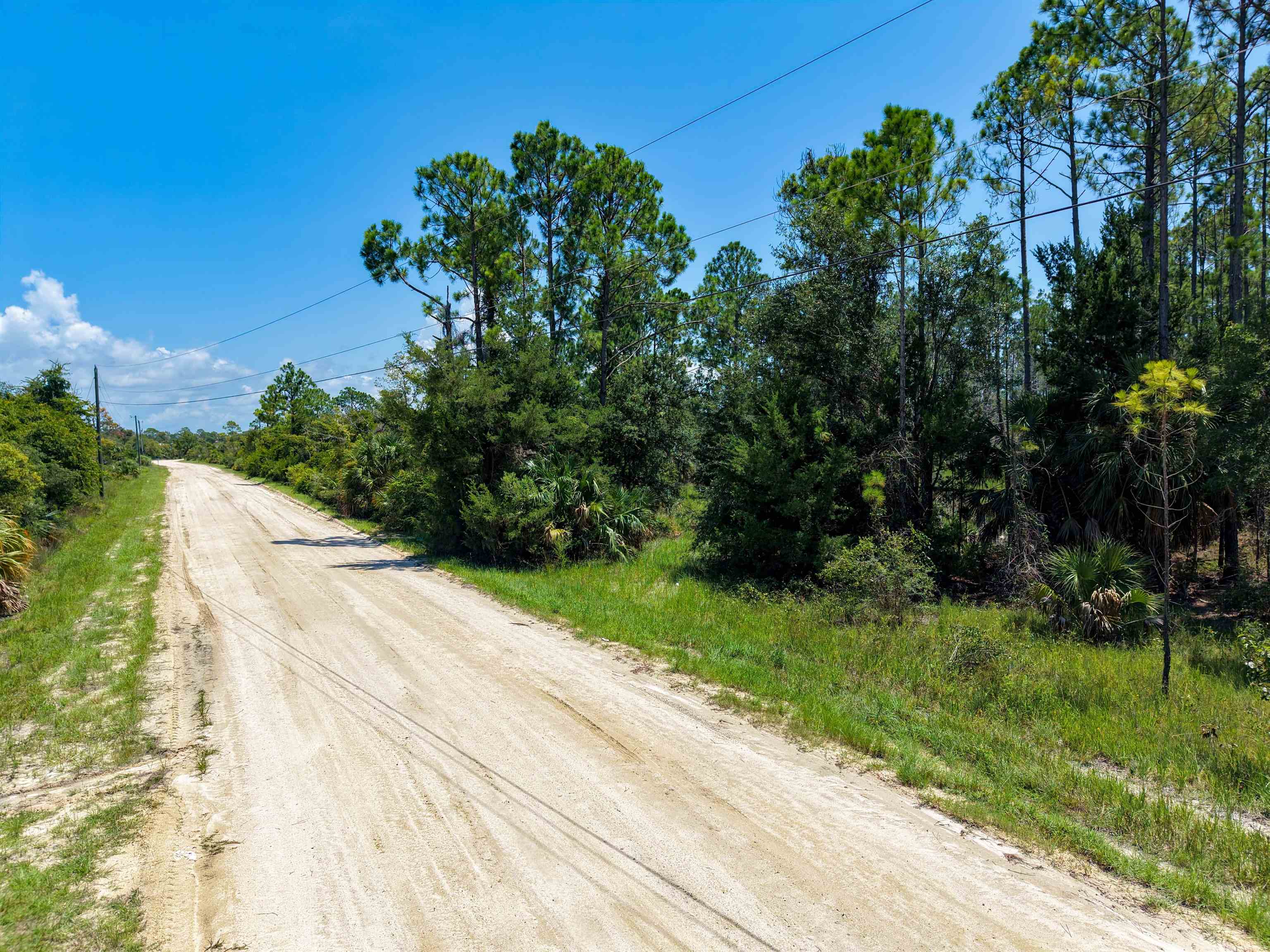 3499 Yates Creek Road Perry, FL 32348 - Photo 6 of 12 Gallery Image 6