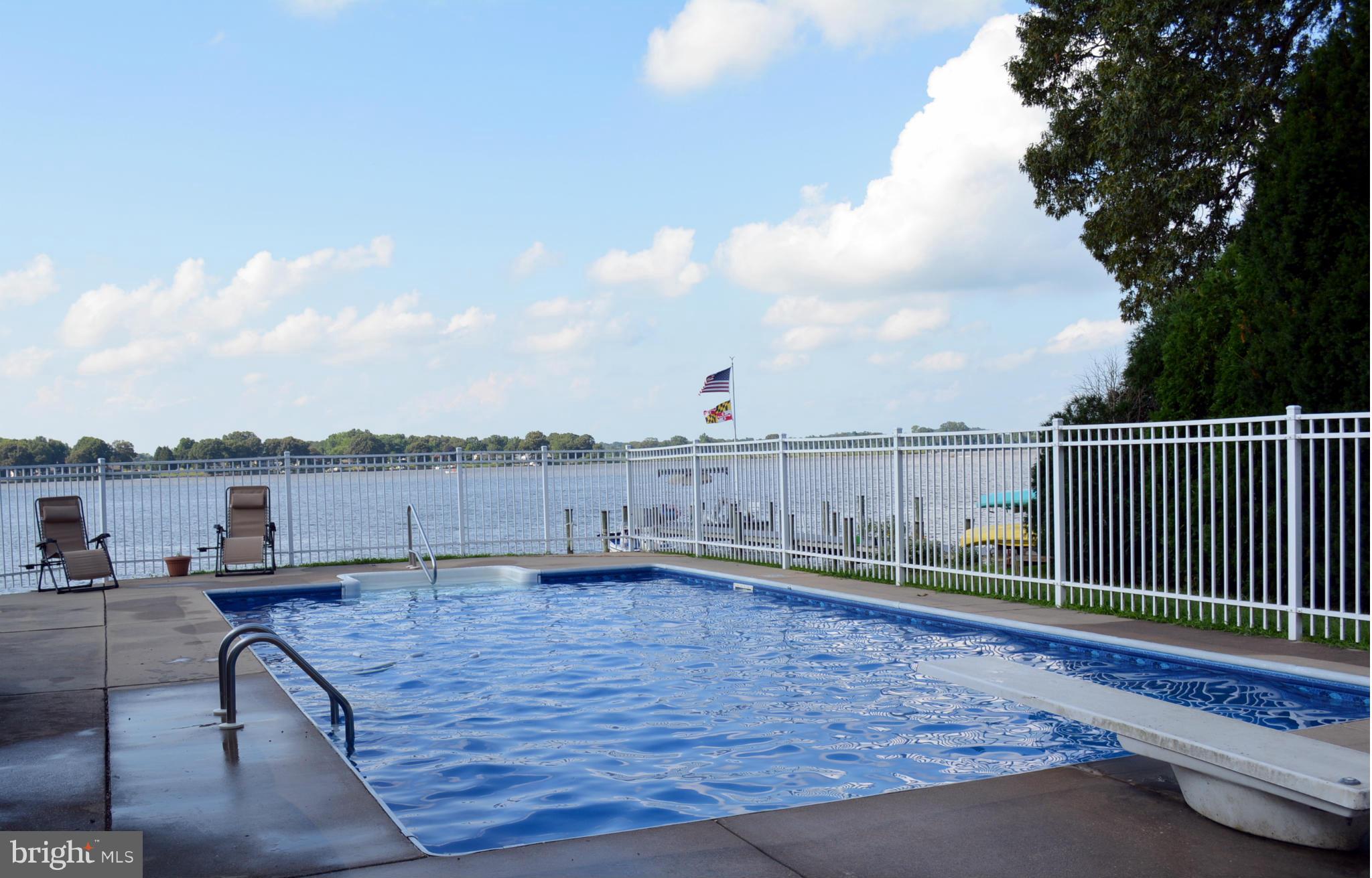 557 Fey Road Chestertown, MD 21620 - Photo 2 of 16 Inground Pool with new liner
