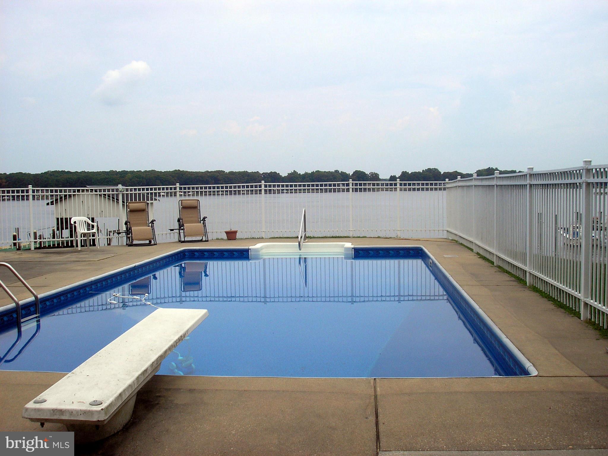 557 Fey Road Chestertown, MD 21620 - Photo 15 of 16 Large In-ground pool with diving board