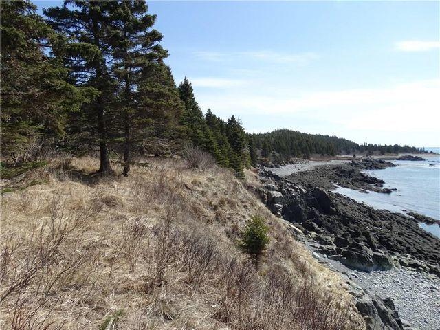 Lot 98-7 Eastern Head Road Lubec, ME 04652 - Photo 4 of 11 shorelot2