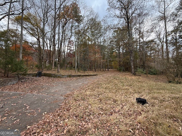 780 Gardner Road Stockbridge, GA 30281 - Photo 4 of 4 a backyard of a house with lots of green space