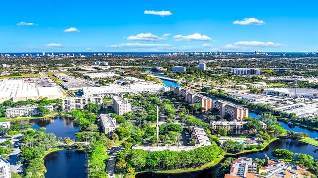 a view of a big yard with plants and large trees