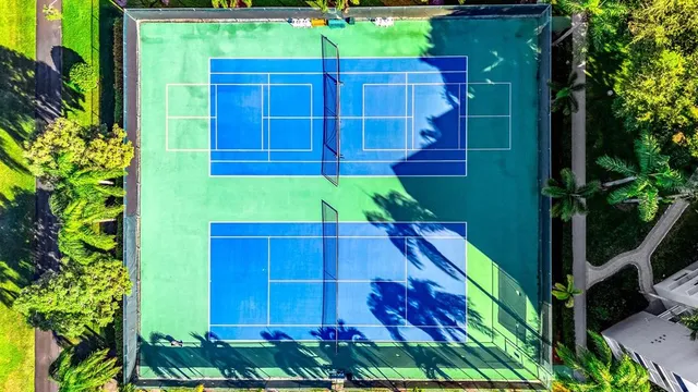 a view of a back yard