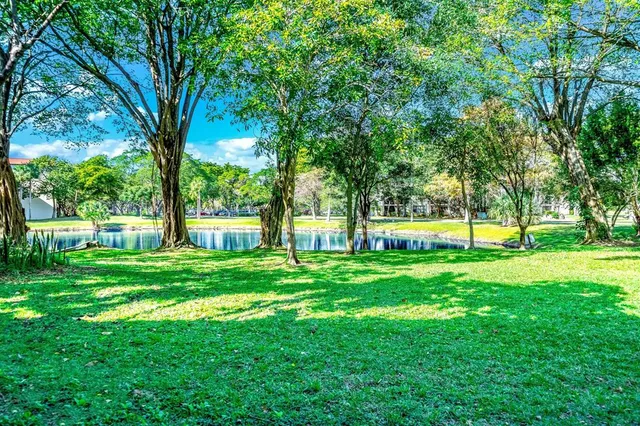 a view of a big yard with a large trees