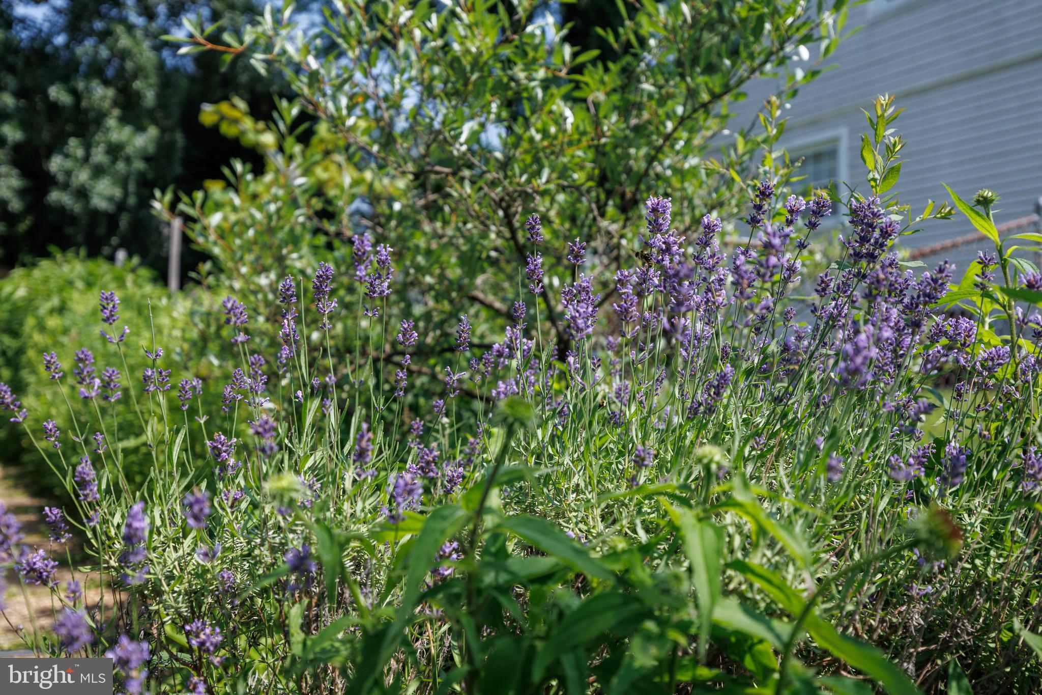 733 Cliffedge Road Baltimore, MD 21208 - Photo 35 of 46