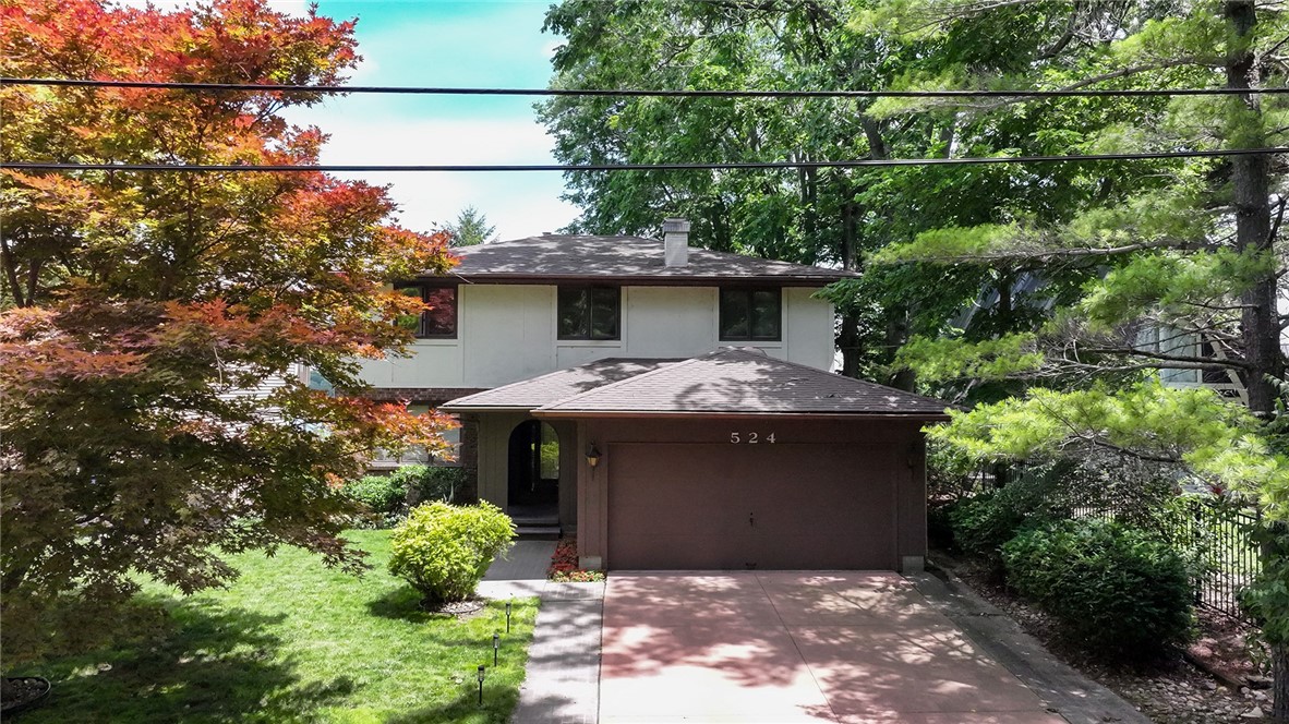 524 Ridge Avenue Decatur, IL 62521 - Photo 3 of 48